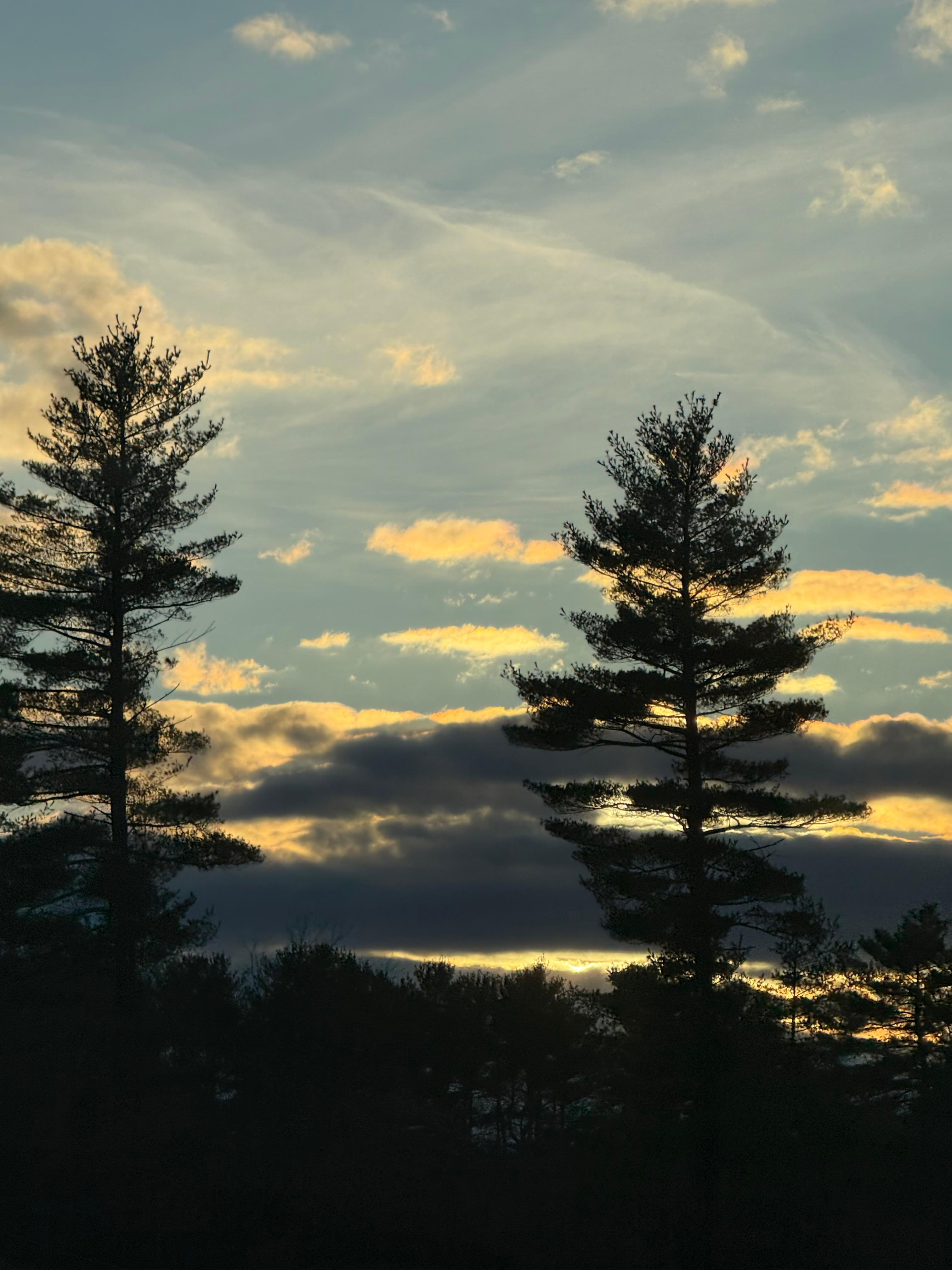 Photography 8